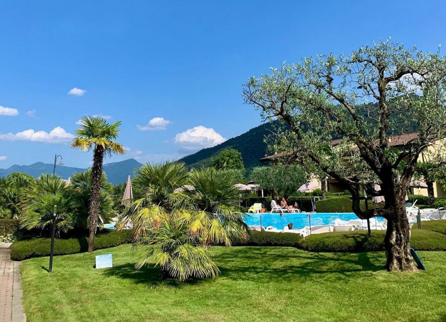 Piscina all'aperto circondata da palme e vegetazione lussureggiante.