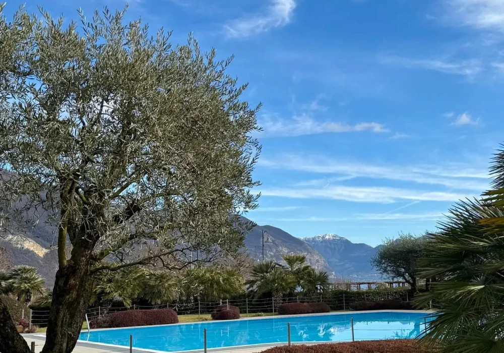 Piscina esterna dell'hotel immersa nel giardino con ulivi e vista panoramica sulle montagne.